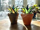 Vitrais de agave™