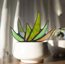 Vitrais de agave™