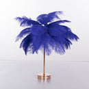 Haste pluma™