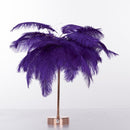 Haste pluma™