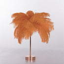 Haste pluma™